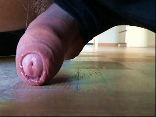 Uncut Foreskin